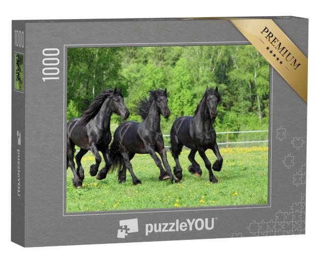 Puzzle de 1000 pièces « Les chevaux frisons galopent dans les pâturages »
