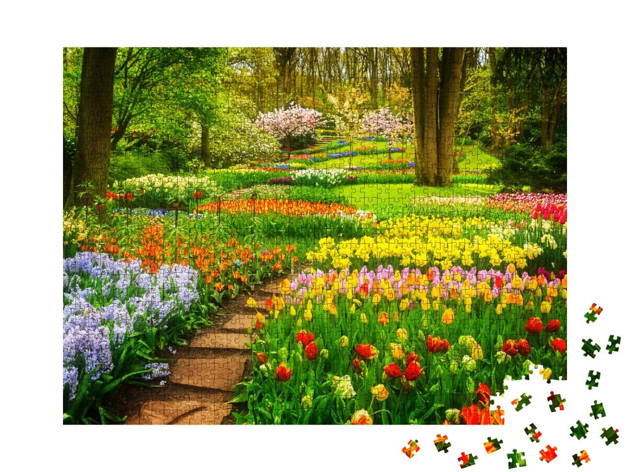 Puzzle de 1000 pièces « Des parterres de tulipes colorés dans le parc »
