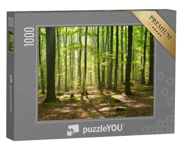 Puzzle de 1000 pièces « Crépuscule d'automne dans une forêt magique et mystique »