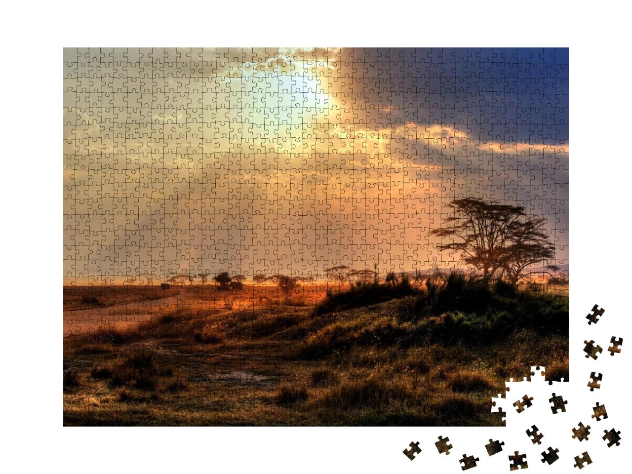 Puzzle de 1000 pièces « Magnifique coucher de soleil dans un parc national en Afrique »