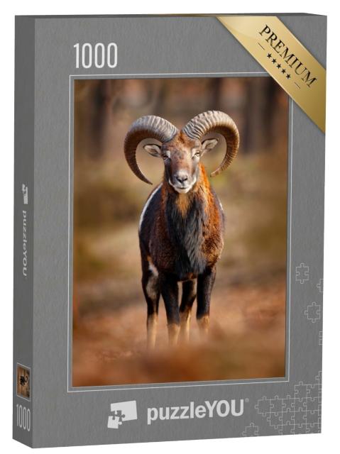 Puzzle de 1000 pièces « Mouflon, mammifère à grandes cornes, Prague »
