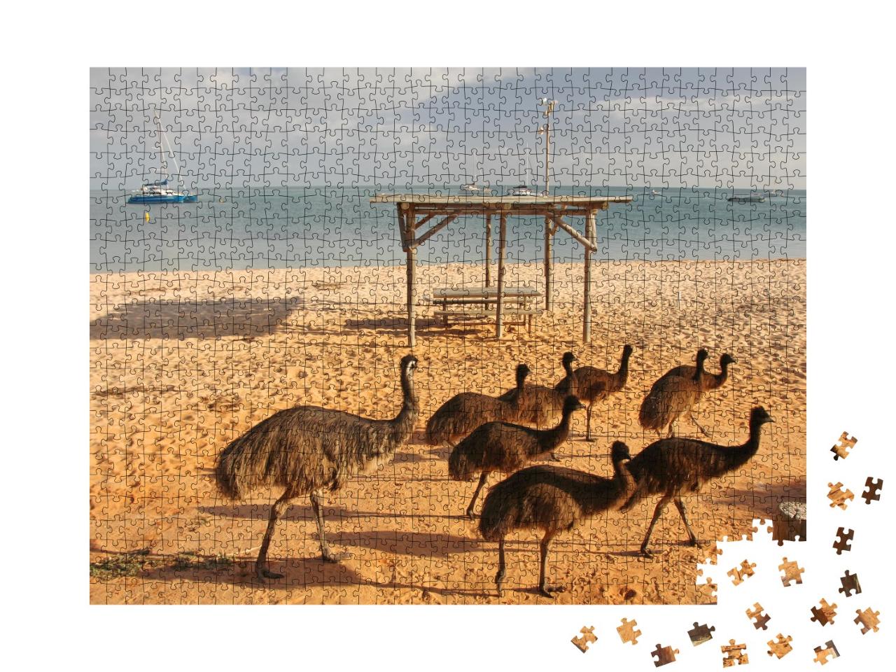Puzzle de 1000 pièces « Emus sur la plage en Australie occidentale »