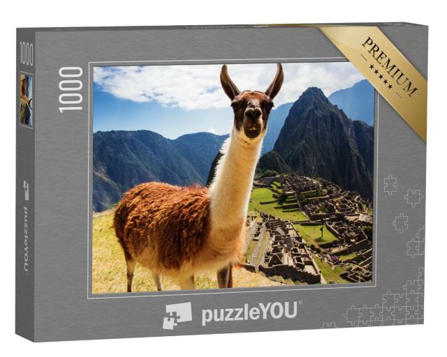 Puzzle de 1000 pièces « Lama, en arrière-plan les ruines incas du Machu Picchu, Pérou »