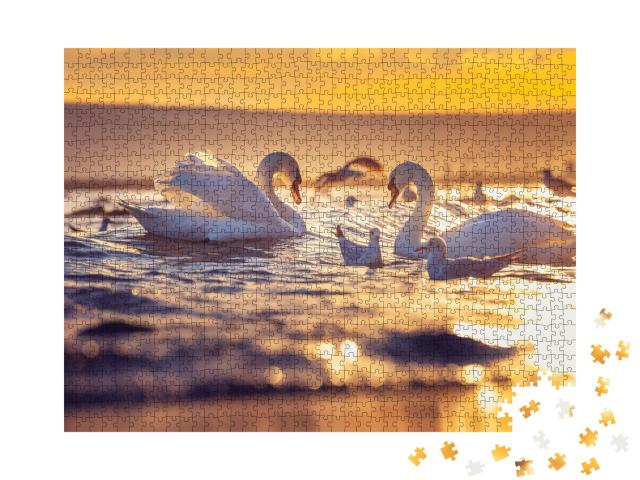 Puzzle de 1000 pièces « Cygnes blancs et mouettes au lever du soleil »