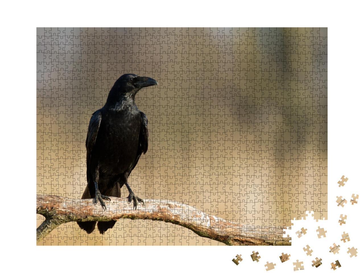 Puzzle de 1000 pièces « Grand corbeau sur une branche »