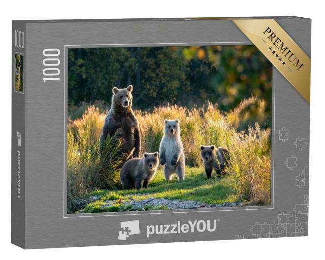 Puzzle de 1000 pièces « Une mère très occupée : une ourse brune d'Alaska avec trois adorables petits »