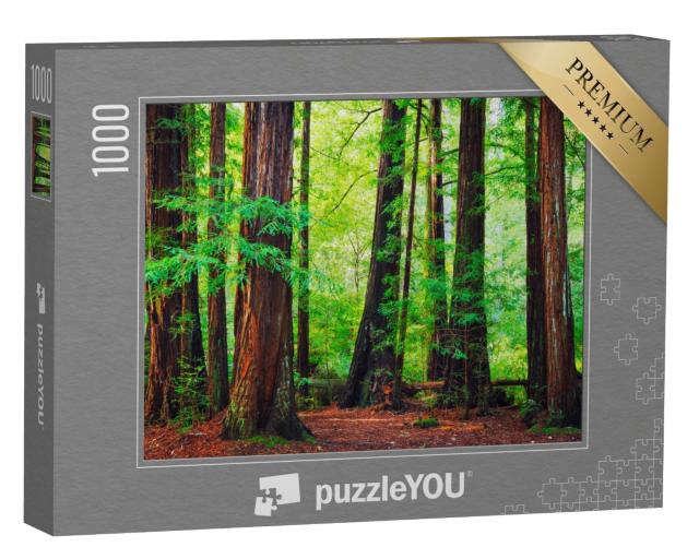 Puzzle de 1000 pièces « Séquoias, forêt tropicale du nord-ouest »