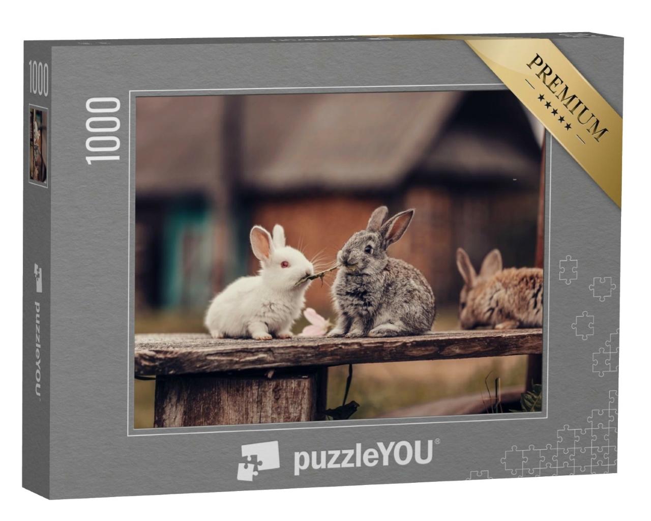 Puzzle de 1000 pièces « Deux lapins broutent des pissenlits »