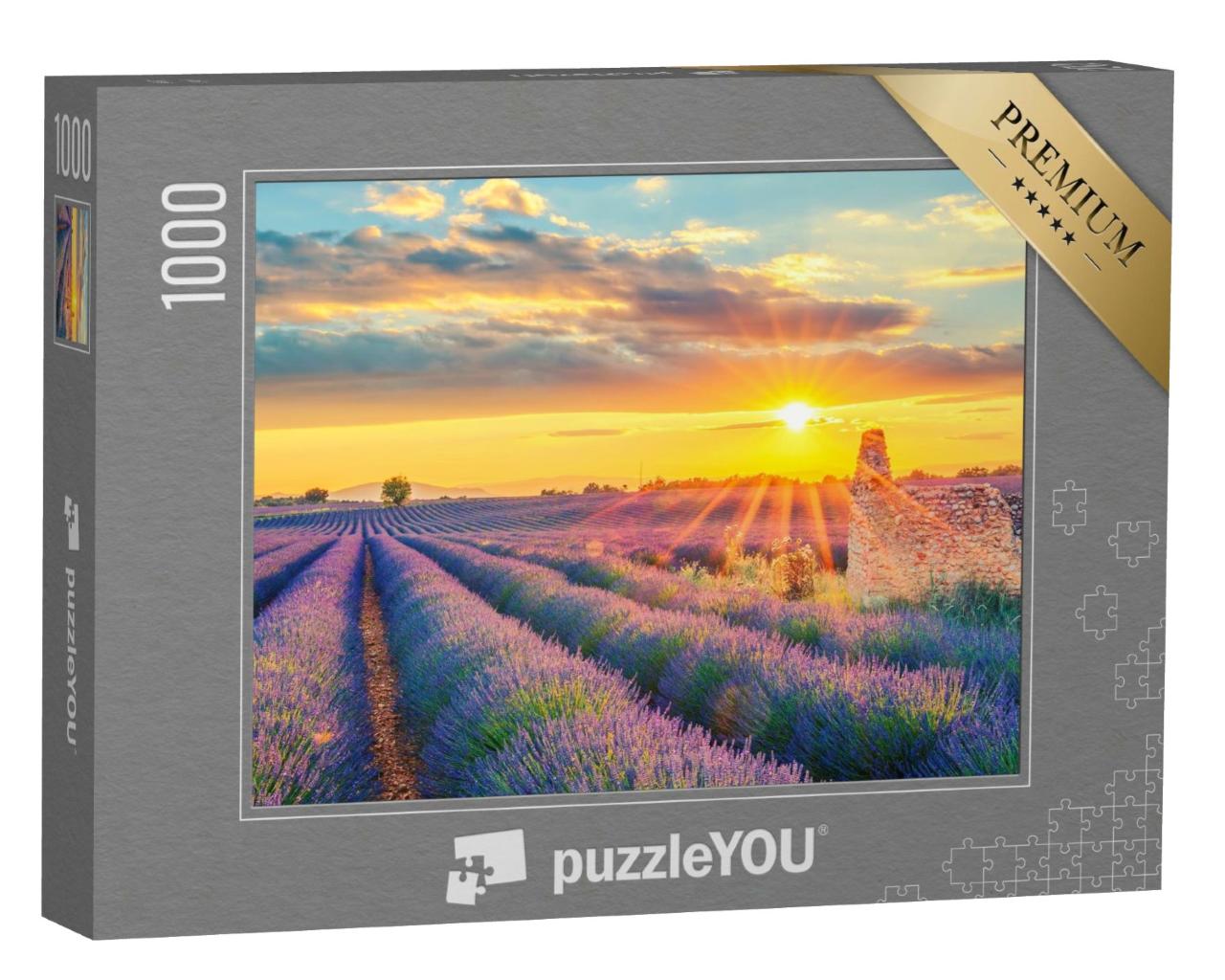Puzzle de 1000 pièces « Un champ de lavande au coucher du soleil en France »