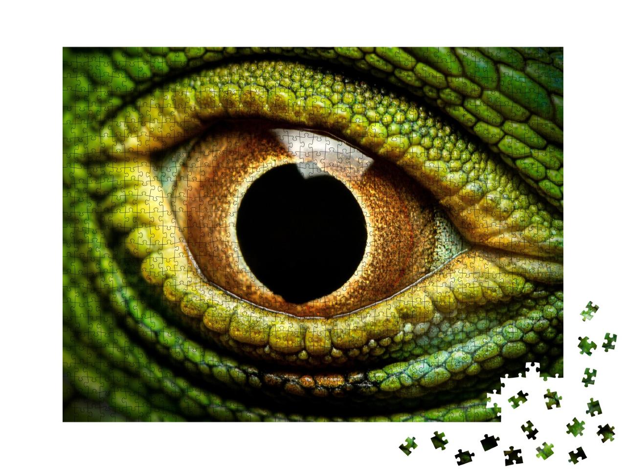 Puzzle de 1000 pièces « Macrophotographie de l'œil d'un iguane vert »