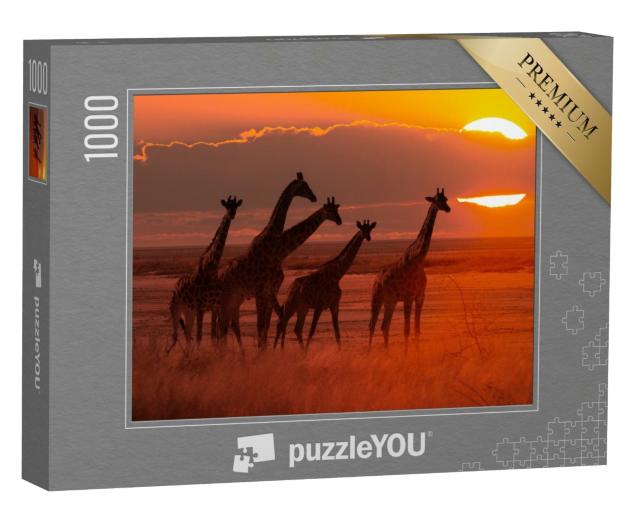 Puzzle de 1000 pièces « Troupeau de girafes au coucher du soleil, savane en Afrique »