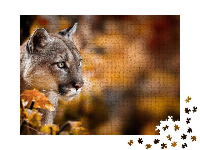 Puzzle de 1000 pièces « Puma, également connu sous le nom de lion des montagnes »