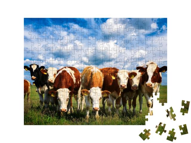Puzzle de 200 pièces « Vaches dans une verte prairie d'été »