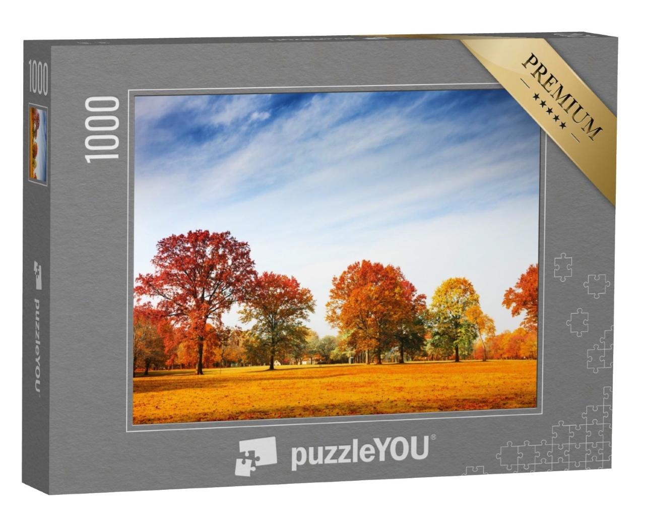 Puzzle de 1000 pièces « Des arbres colorés en automne »