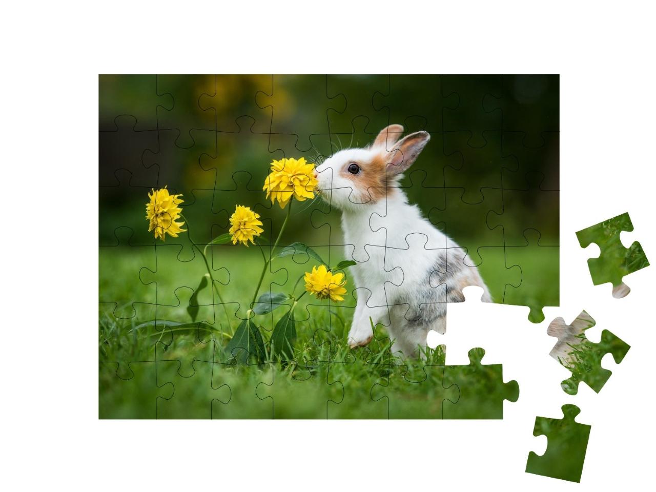 Puzzle de 48 pièces « Petit lapin curieux »