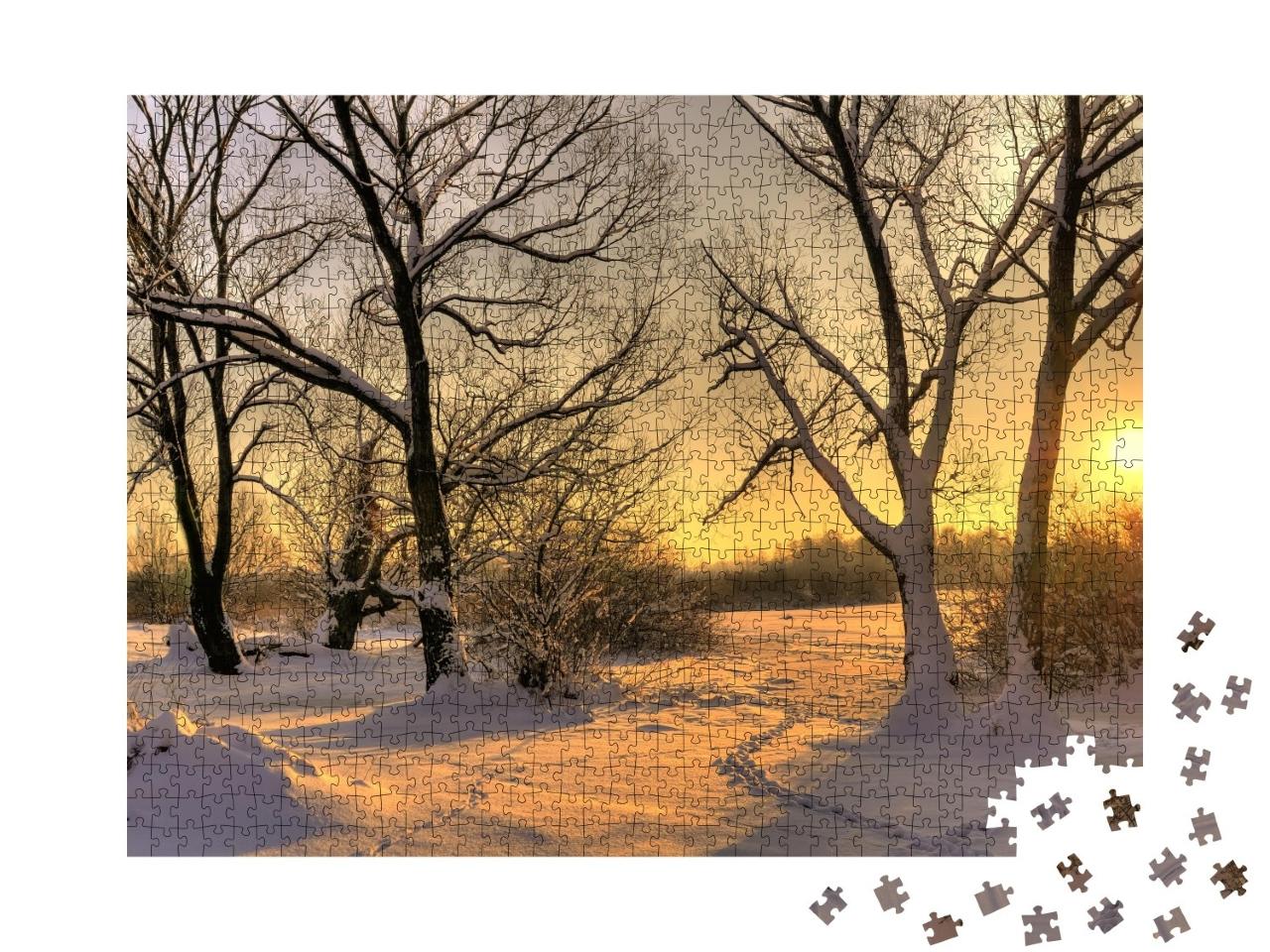 Puzzle de 1000 pièces « Beau coucher de soleil hivernal avec des arbres dans la neige »