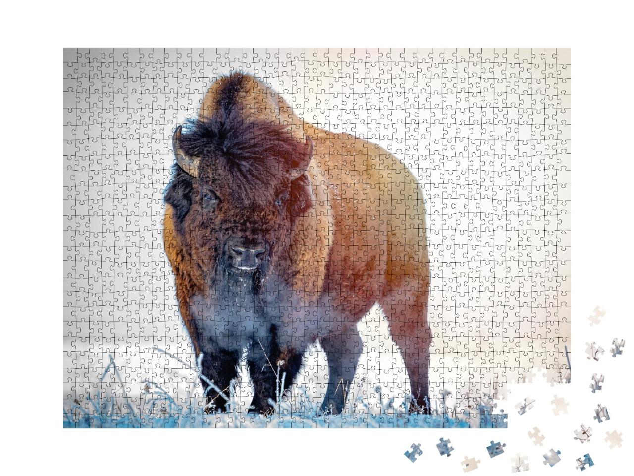 Puzzle de 1000 pièces « Bison de prairie un matin d'hiver »