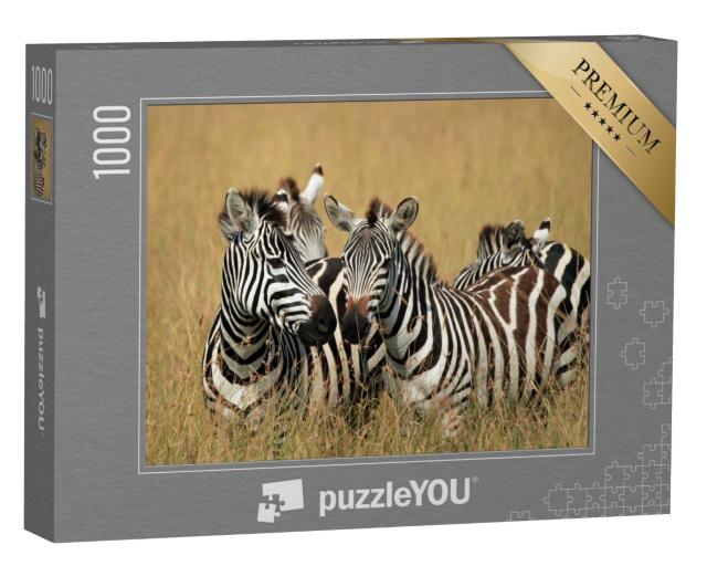 Puzzle de 1000 pièces « Zèbres des steppes dans la savane, Maasai Mara, Kenya »