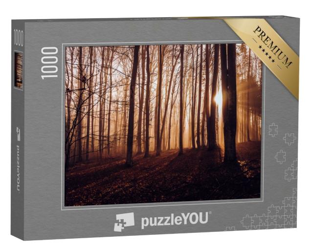 Puzzle de 1000 pièces « Forêt d'automne mystique avec des rayons de soleil entre les arbres »