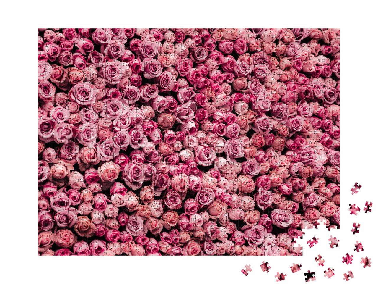 Puzzle de 1000 pièces « Une mer de fleurs de roses roses »