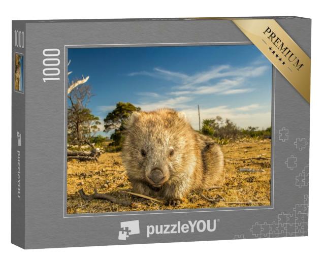 Puzzle de 1000 pièces « Gros plan sur un wombat originaire de Tasmanie »
