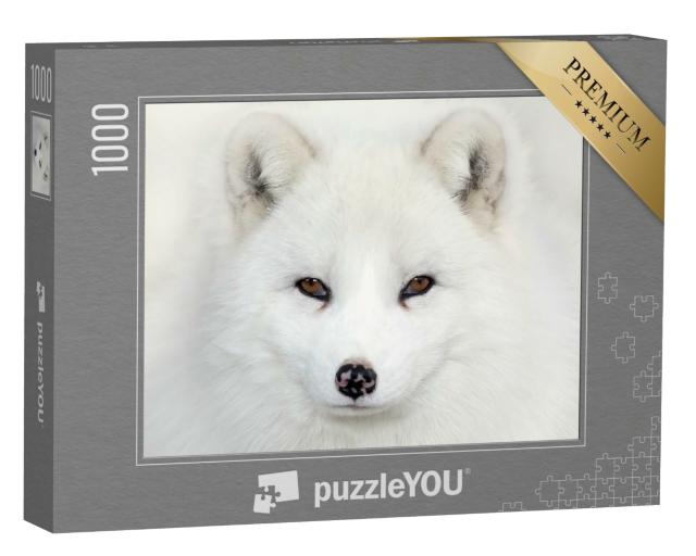 Puzzle de 1000 pièces « Face à face avec un renard polaire »