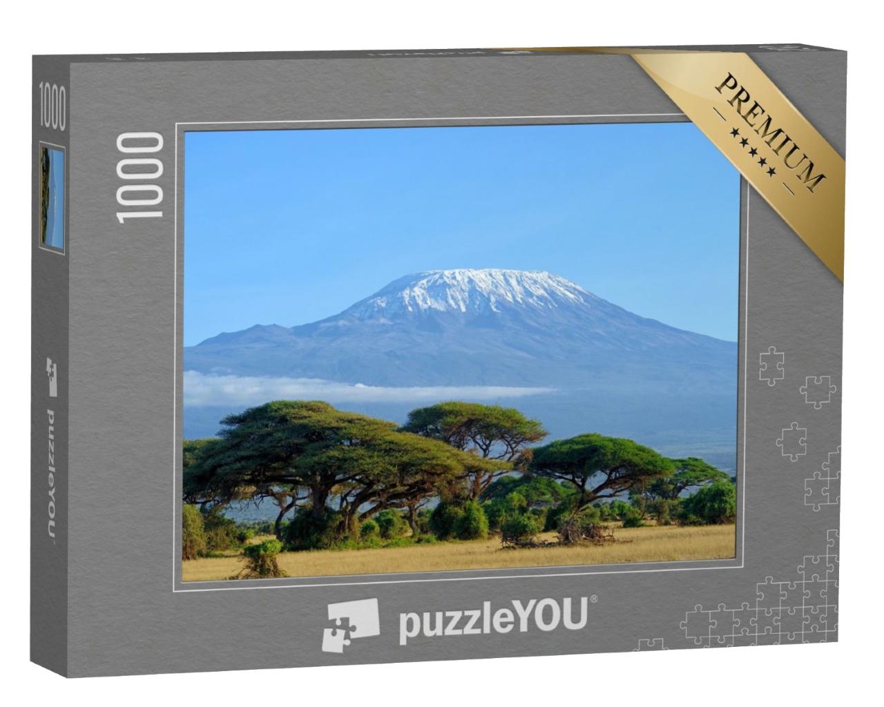 Puzzle de 1000 pièces « Neige au sommet du Kilimandjaro à Amboseli »