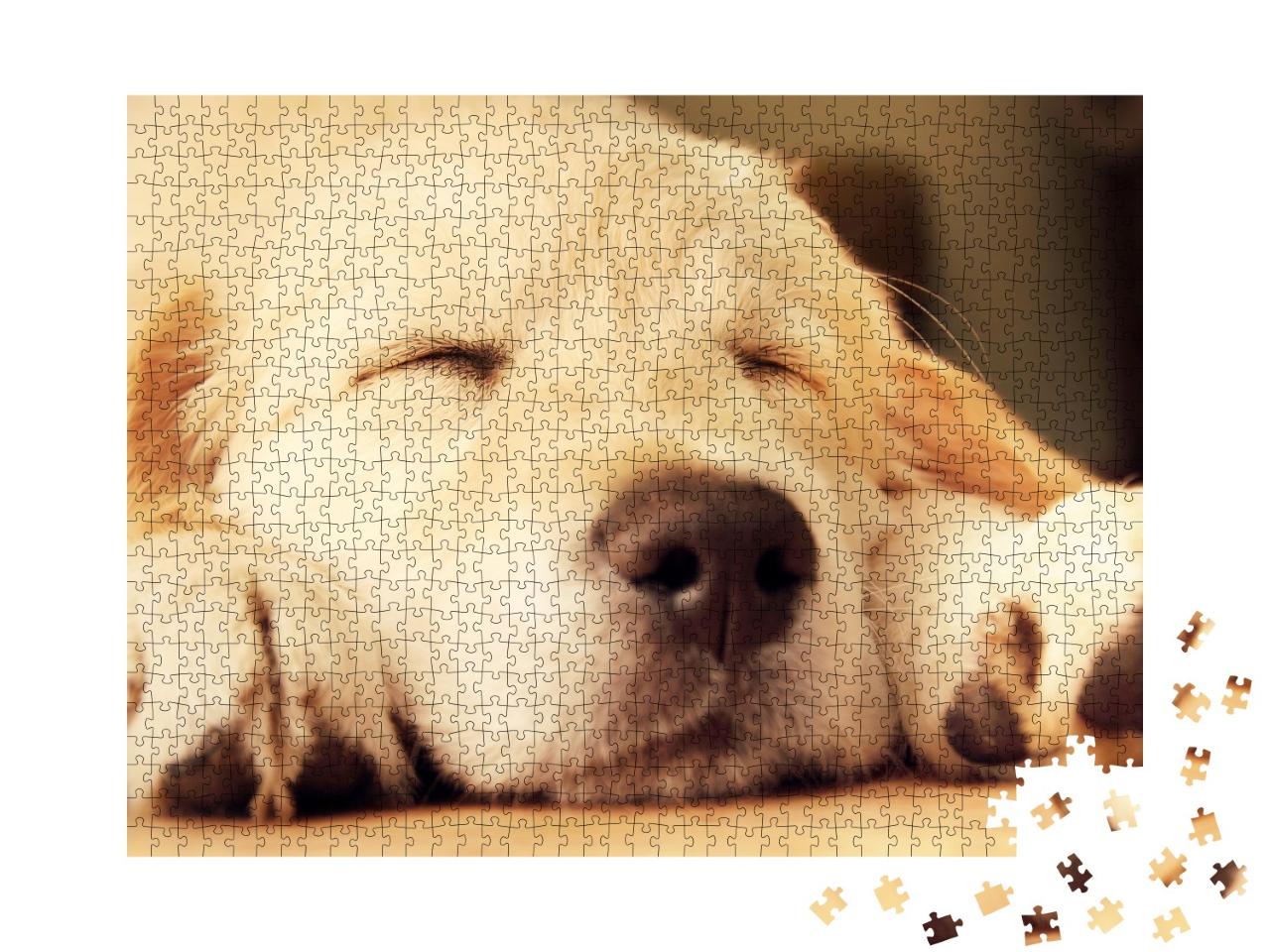 Puzzle de 1000 pièces « Golden Retriever chiot pendant la sieste »