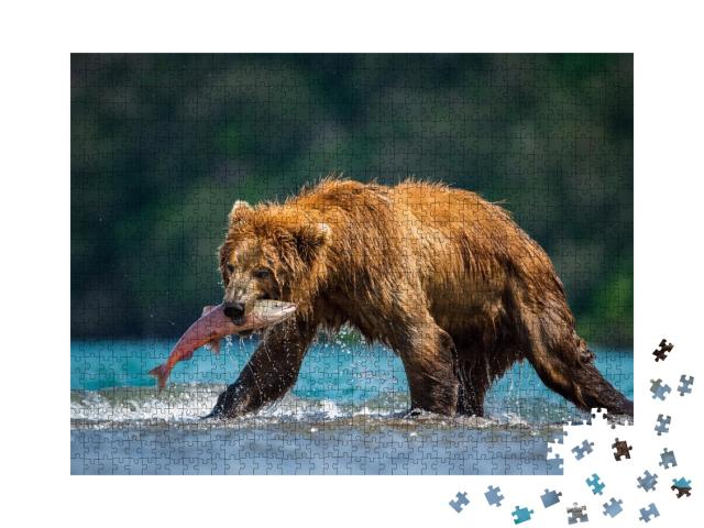 Puzzle de 1000 pièces « L'ours brun du Kamtchatka attrape des saumons au lac Kouriles, Kamtchatka »