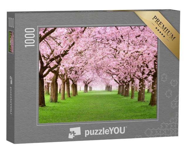 Puzzle de 1000 pièces « Jardin d'agrément avec des cerisiers en fleurs majestueux sur une pelouse verte et fraîche »