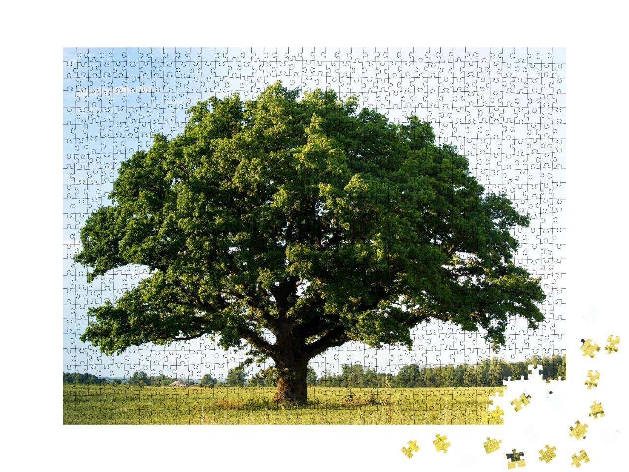 Puzzle de 1000 pièces « Chêne vert solitaire dans un champ »