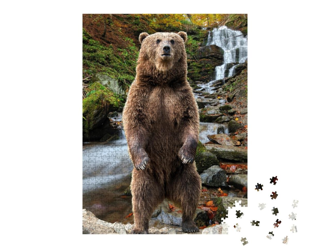 Puzzle de 1000 pièces « Un ours brun dans la forêt d'automne »