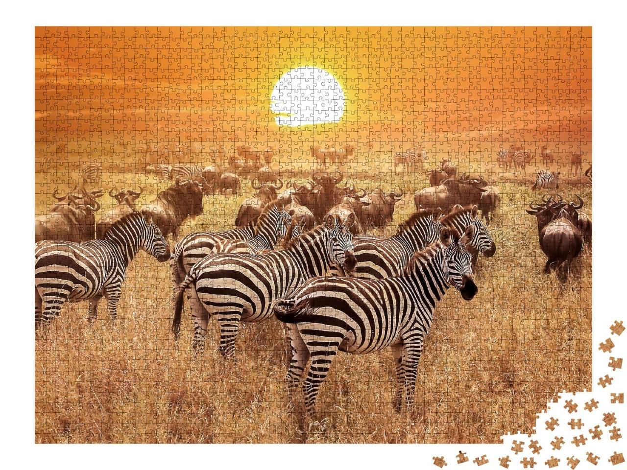 Puzzle de 2000 pièces « Zèbre au coucher du soleil dans le parc national du Serengeti, Afrique, Tanzanie »