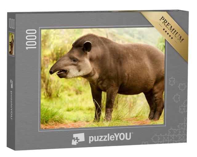 Puzzle de 1000 pièces « Tapir sud-américain dans la forêt »