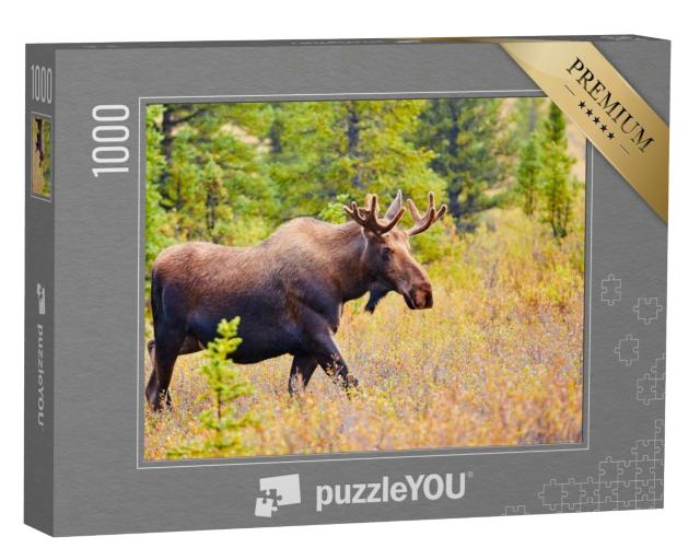 Puzzle de 1000 pièces « Elan, parc national de Denali, Alaska, États-Unis »