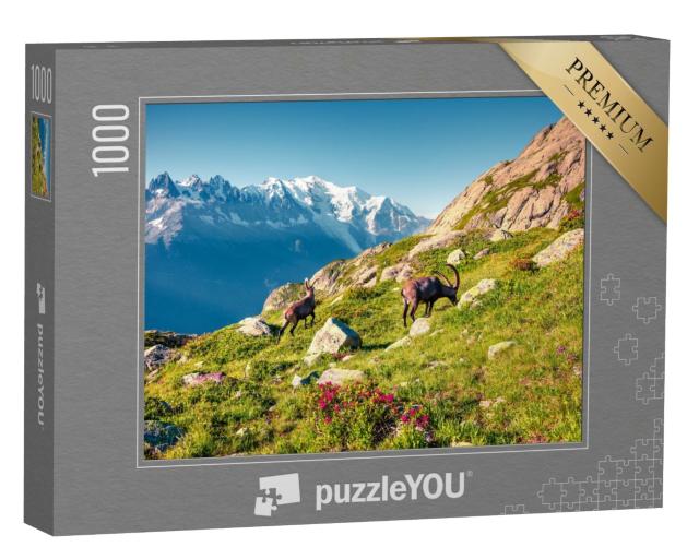 Puzzle de 1000 pièces « Bouquetin des Alpes sur fond de Mont-Blanc dans le parc naturel du Vallon de Bérard, Chamonix, Alpes grises »