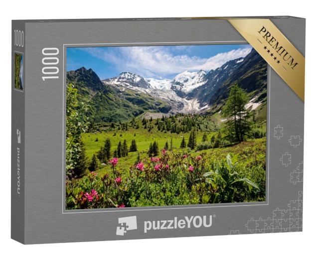 Puzzle de 1000 pièces « Tour du Mont Blanc dans les Alpes françaises »