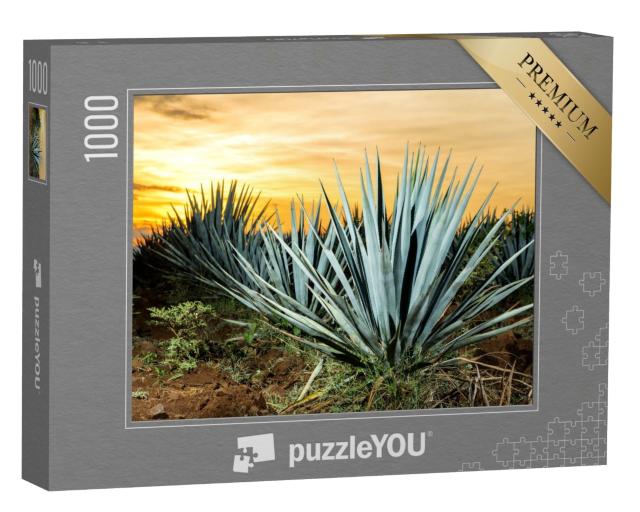 Puzzle de 1000 pièces « Tequila-Plantage, Guadalajara, Mexique »