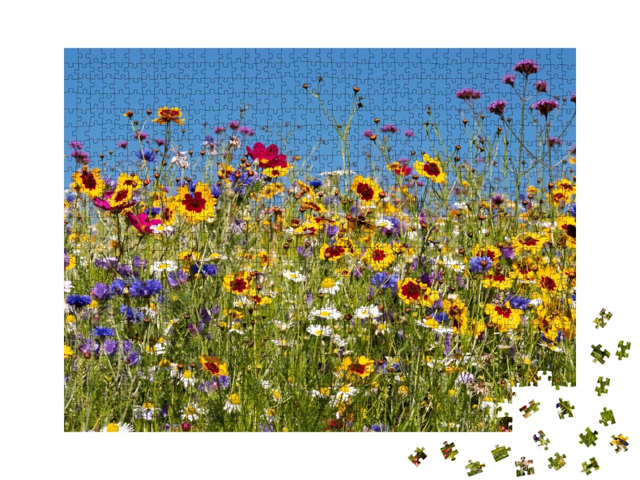 Puzzle de 1000 pièces « Des fleurs sauvages colorées s'épanouissent devant le Savill Garden, Egham, Surrey »