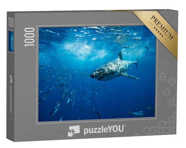 Puzzle de 1000 pièces « Majestueux grand requin blanc, île de Guadalupe, Mexique »