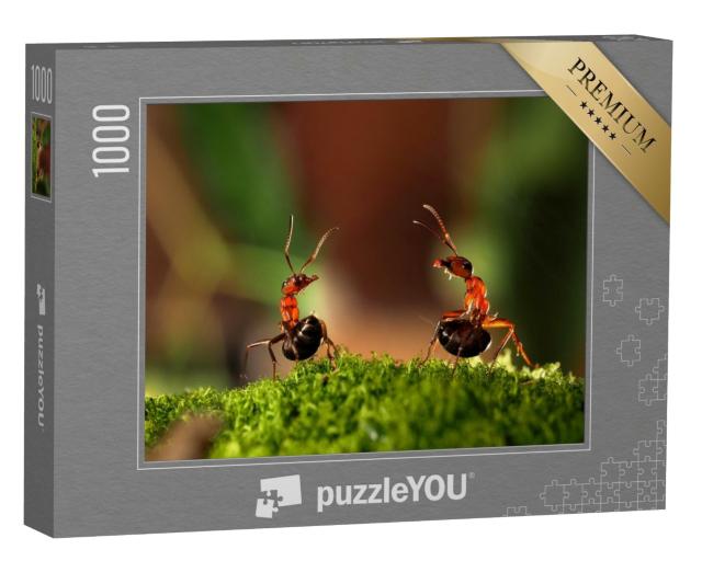 Puzzle de 1000 pièces « Le combat de deux fourmis »