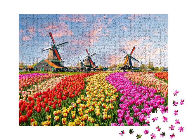 Puzzle de 1000 pièces « Moulins à vent idylliques et tulipes, Pays-Bas »