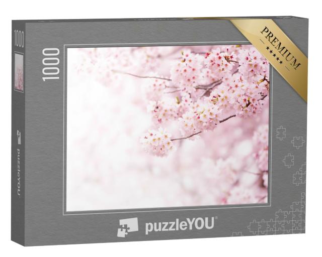 Puzzle de 1000 pièces « Les cerisiers en fleurs dans toute leur splendeur »