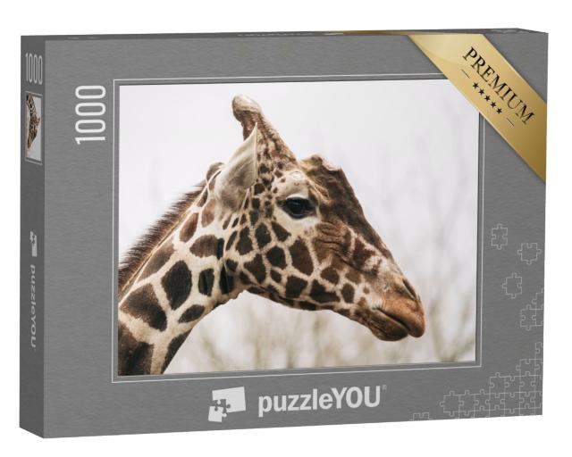 Puzzle de 1000 pièces « Girafe réticulée, également connue sous le nom de girafe masaï »
