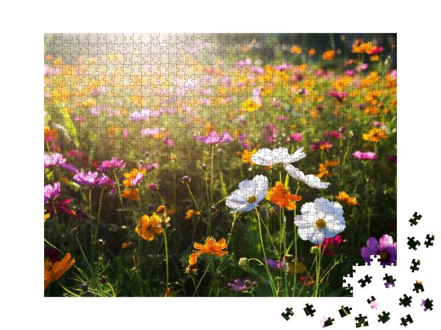 Puzzle de 1000 pièces « Les cosmos fleurissent le matin »