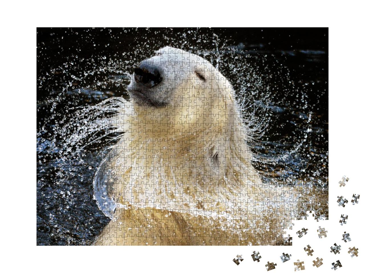 Puzzle de 1000 pièces « Portrait d'un ours polaire »