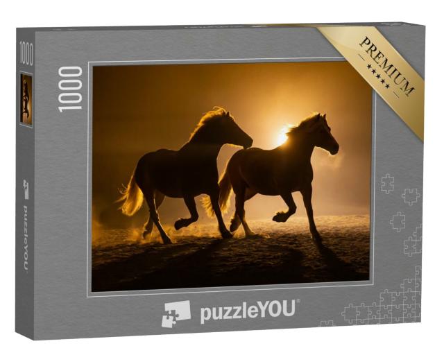 Puzzle de 1000 pièces « Silhouette de deux chevaux Haflinger au galop dans l'atmosphère du soir »