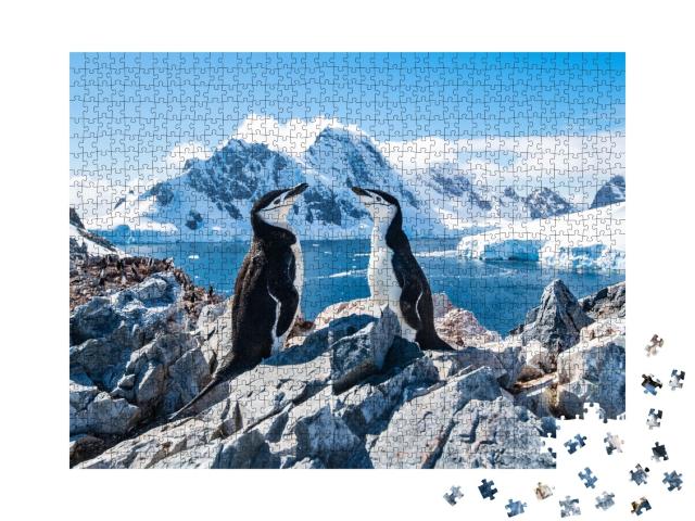Puzzle de 1000 pièces « Pingouin torda, Antarctique, janvier 2019 »