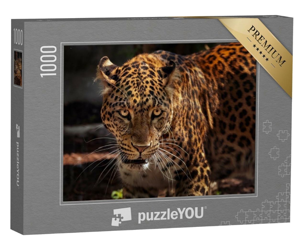 Puzzle de 1000 pièces « Image d'un jaguar puissant en tant que chasseur »