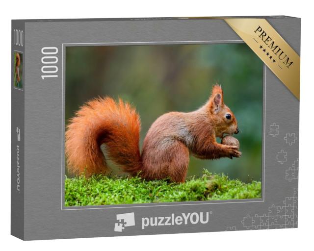 Puzzle de 1000 pièces « Un écureuil rouge mange une noix sur un tronc de mousse »